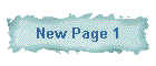 New Page 1